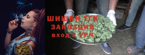 стафф Коряжма