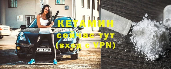 стафф Коряжма